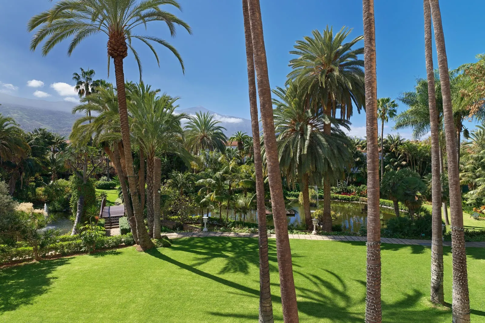 Hotel Botánico & The Oriental Spa Garden: Palm gardens