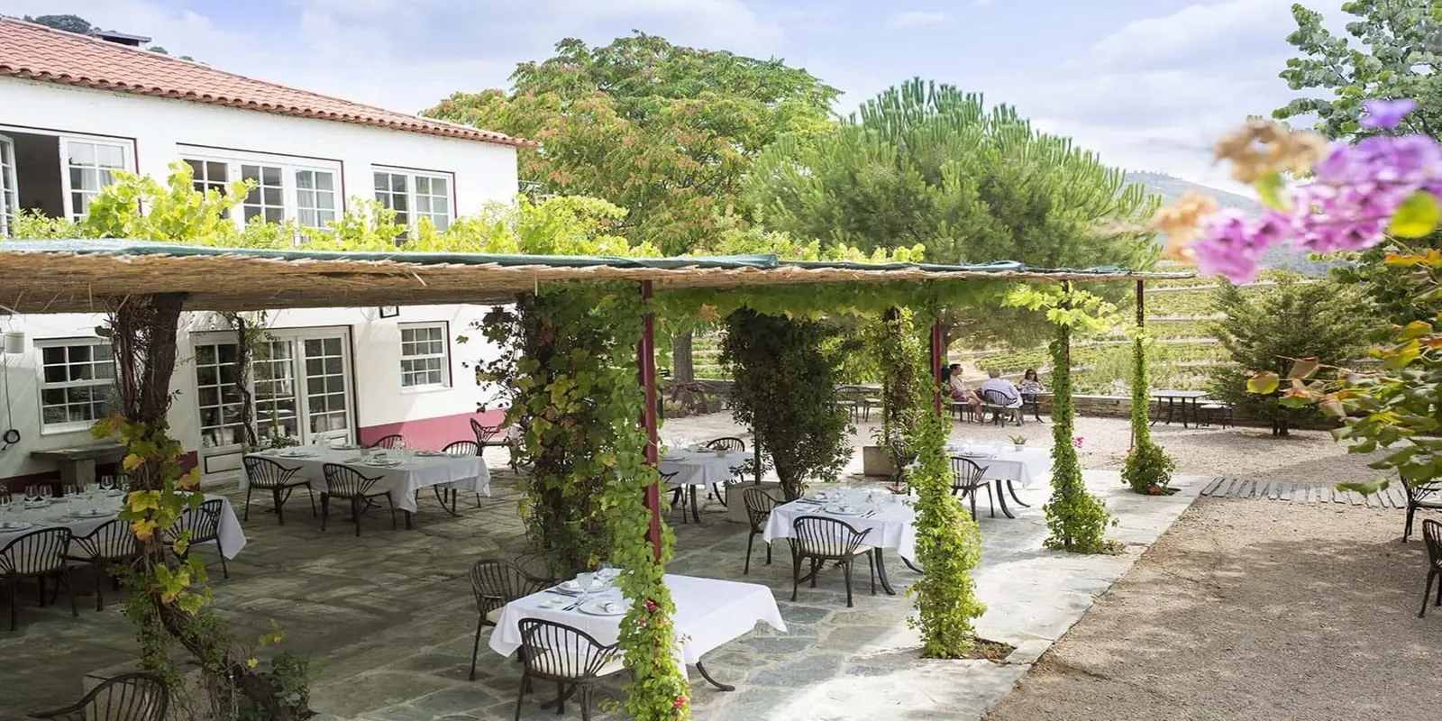 Quinta Nova Winery House: Dinner under the pergola